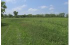 Lake County, Indiana farmland - LAND AUCTION - 147+/- ACRES OFFERED IN 3 TRACTS IN LAKE COUNTY, INDIANA